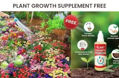 Mix Premium Flower Seed's + Plant Growth Supplement Free ( default, OS )